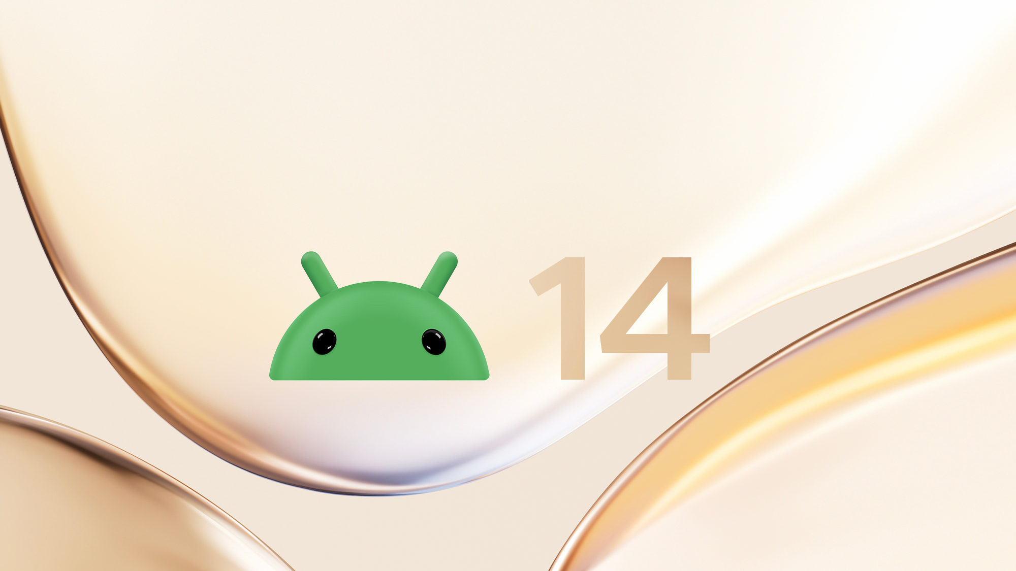 doogee.com